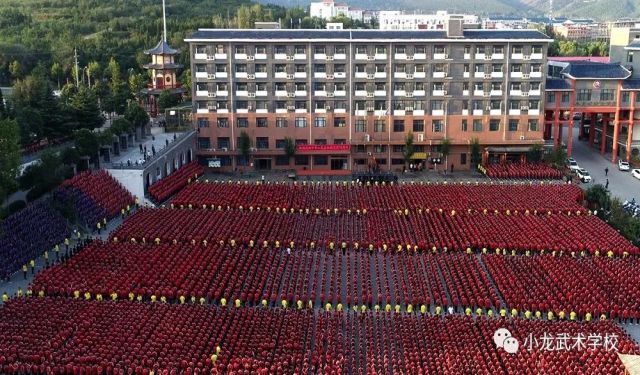 小学可以去郑州读武术学校吗？