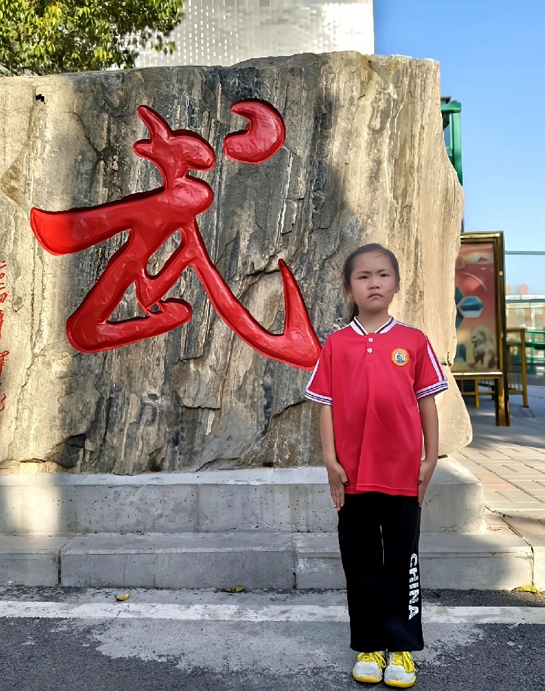少林小龙武校8岁萌妞袁如蝌的紫发卡与她的武术梦