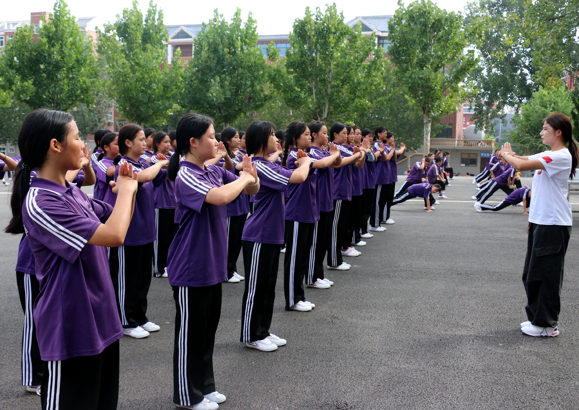 少林小龙武校影视艺术部教练张天天