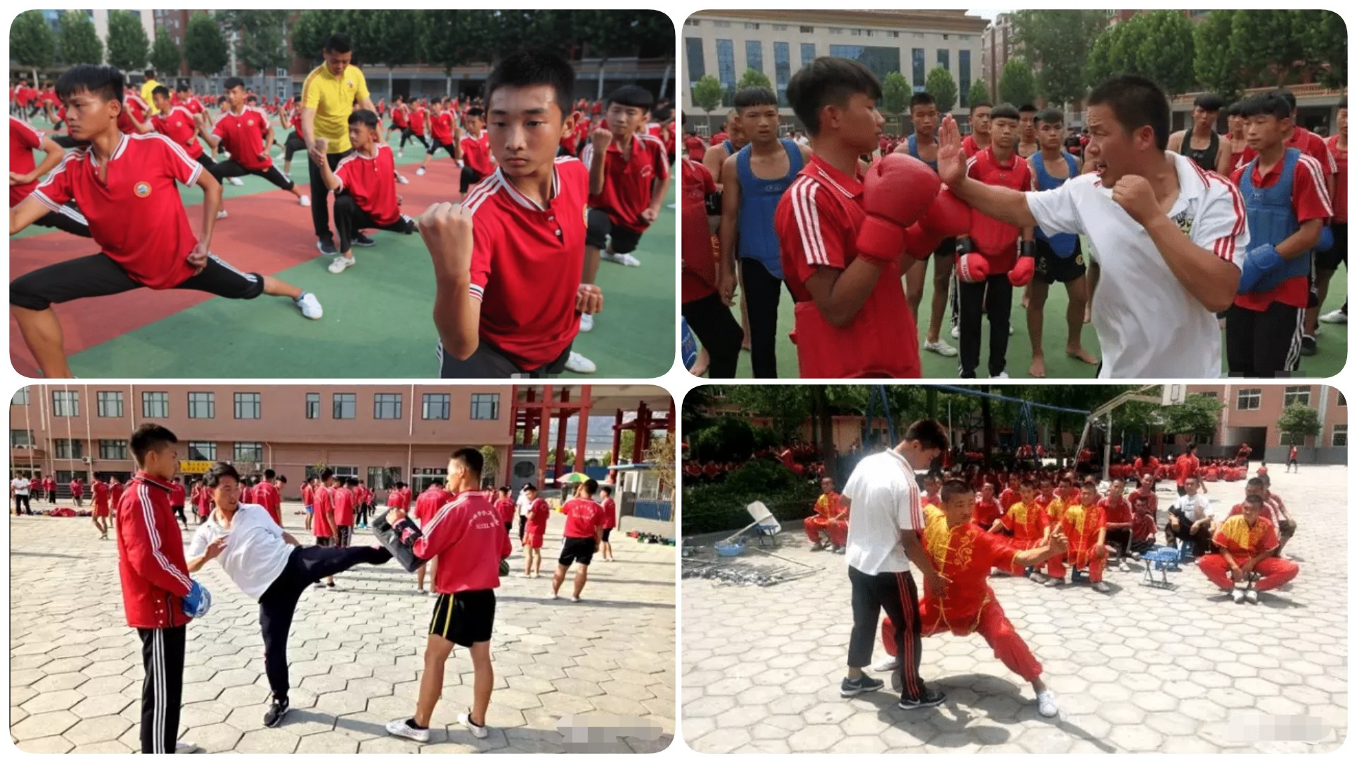 稿定设计导出-20210209-223516.jpg