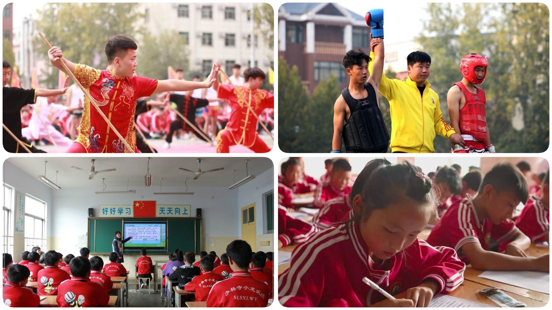 稿定设计导出-20210207-001136.jpg
